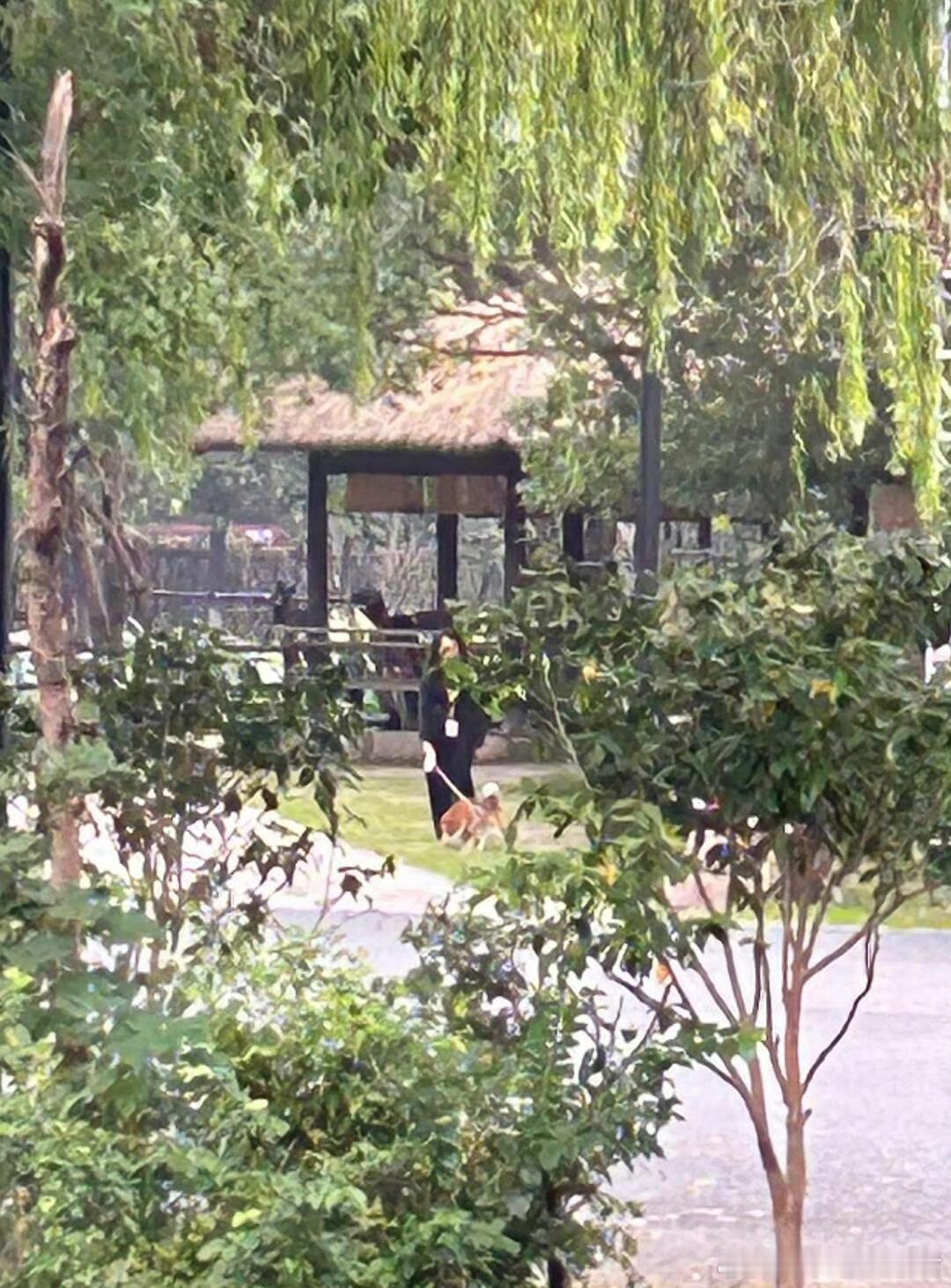 别人向往生活偶遇明星我偶遇小O 今日乌镇优先级排序：小O > 所有两脚兽明星！成