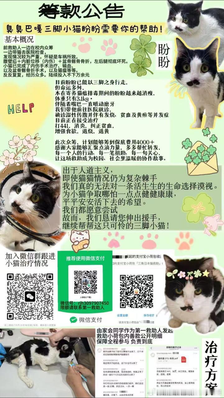 【求助】bot好大家好，很抱歉又打扰大家了！是这条网页链接里的小八嘎猫，在大家的