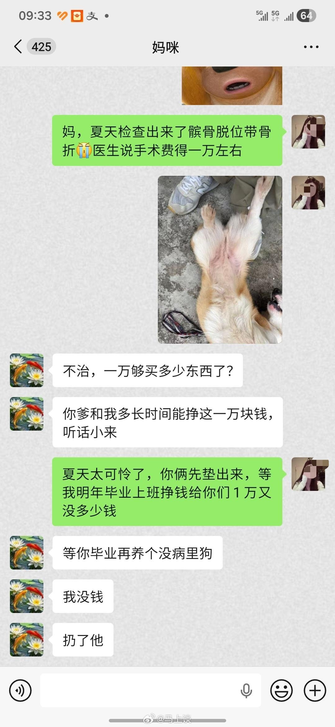 很多人知道流浪狗可怜，但是并不知道父母攒一万块钱有多难… 