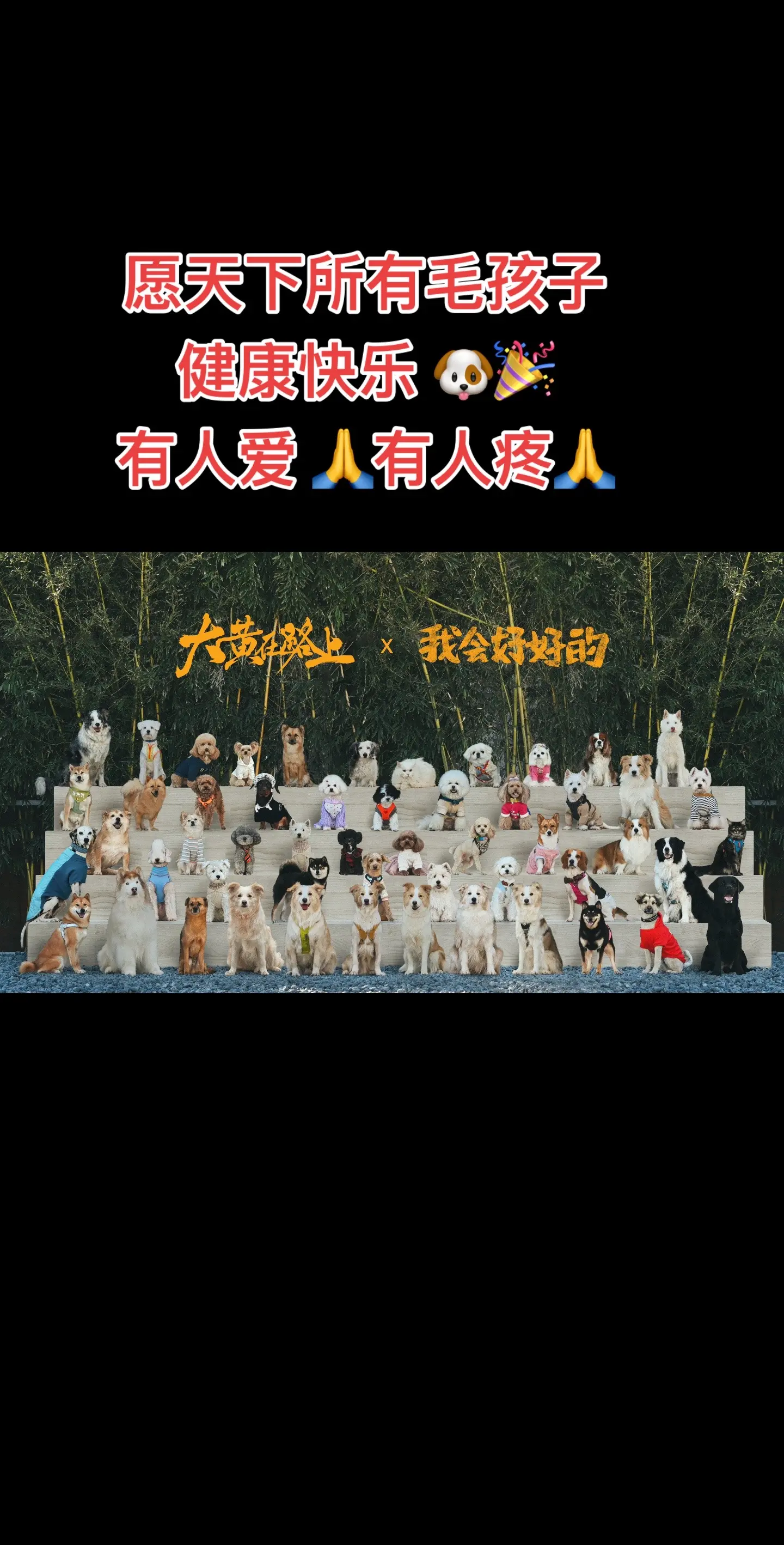 路遇为所有可怜的小动物发声🙏。愿电影《我会好好的》大卖✌️