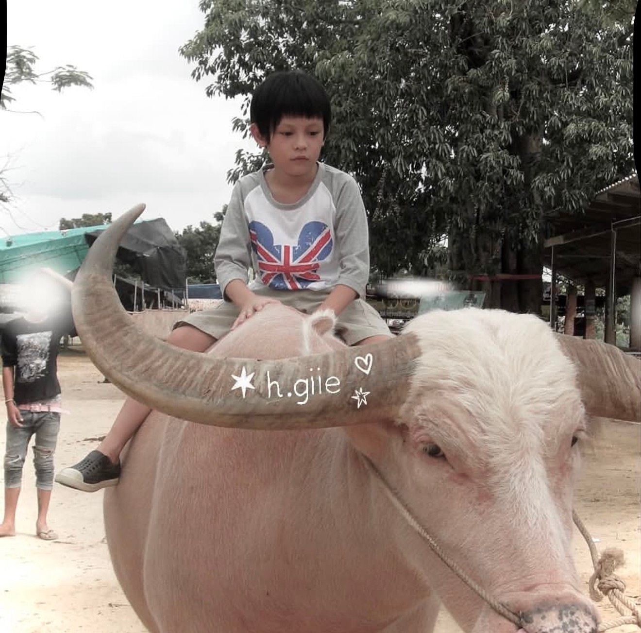 幼儿照不断涌出….小小凡的碎片 /r.h.giie 