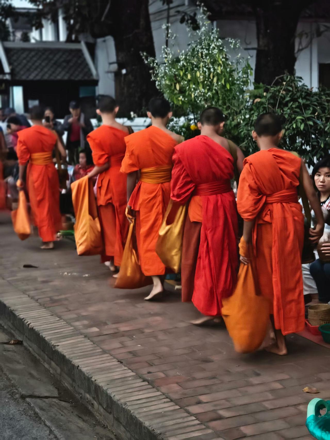 冬日生活打卡季