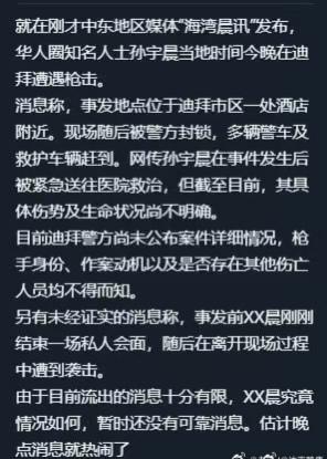 胡锡进开心了，孙宇晨在中东遭遇枪击事件！

这个孙宇晨曾向胡锡进挑战，说二十年后