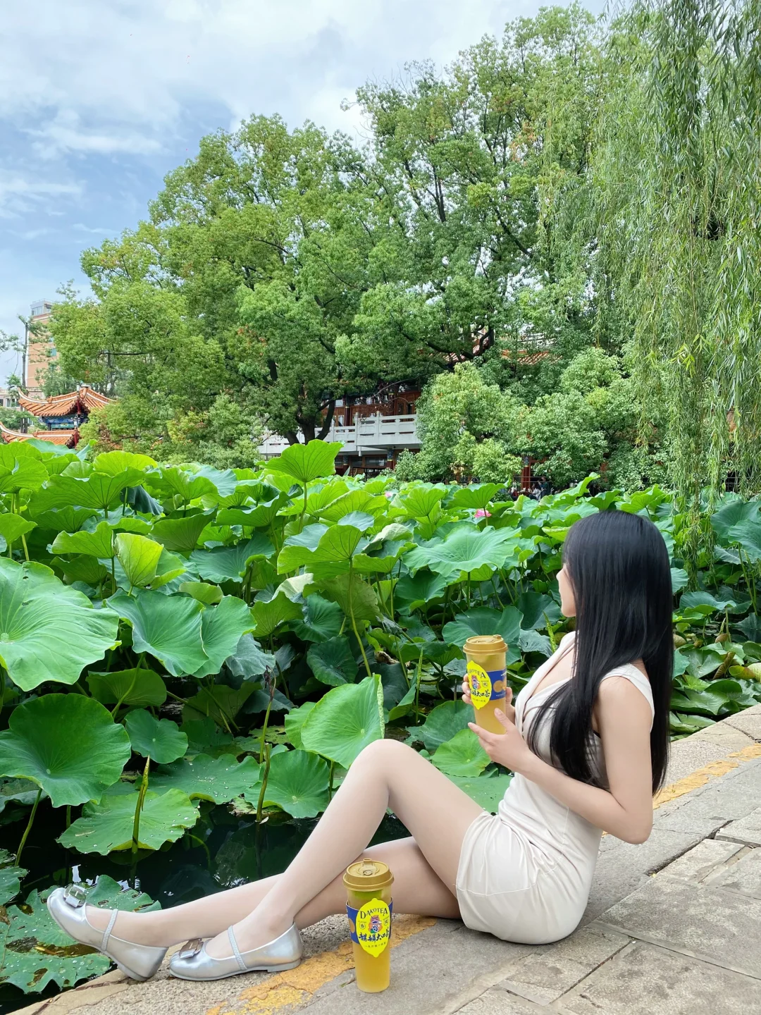 夏日荷花🍃