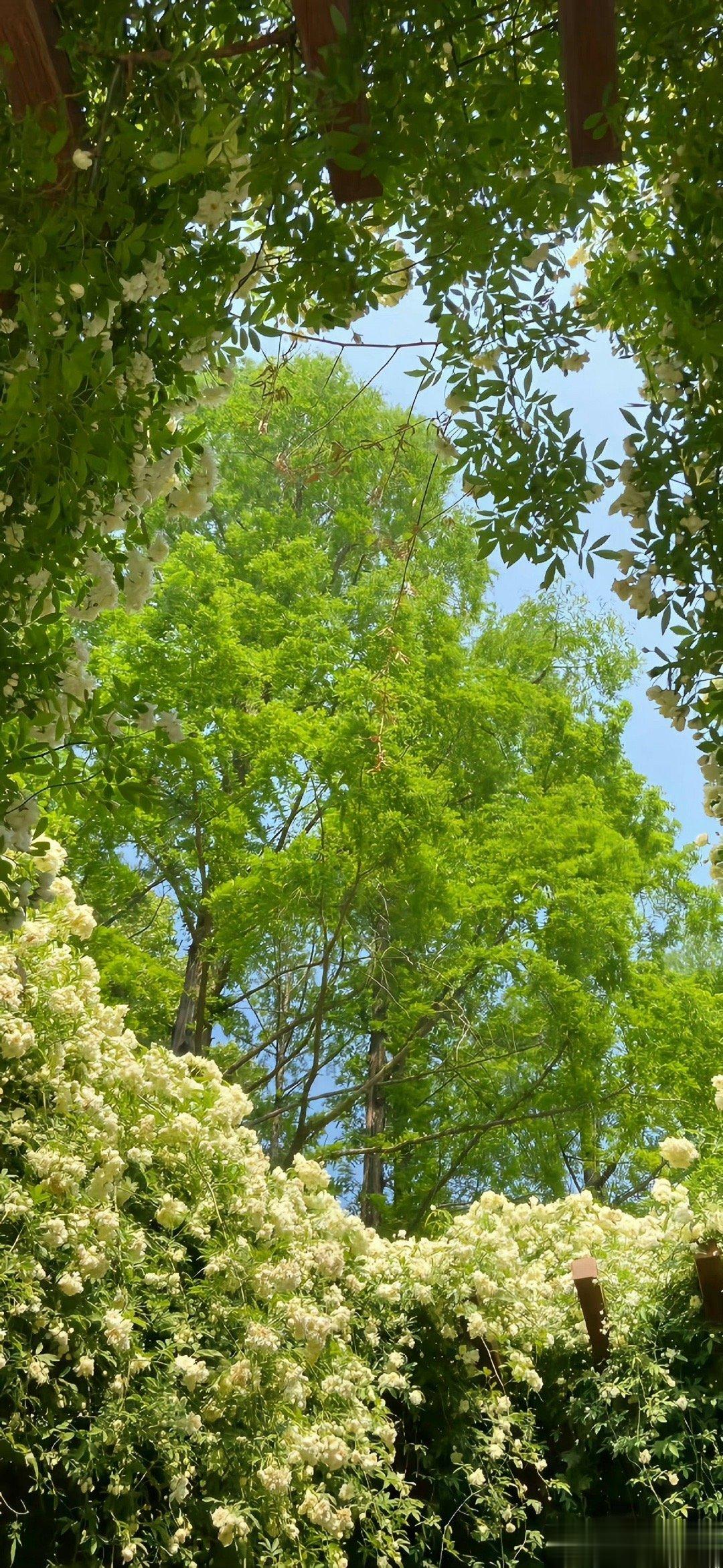 𝑺𝒖𝒏𝒅𝒂𝒚 𝟭𝟭/𝟭𝟮所谓管理自己情绪的能力，其实就是一个