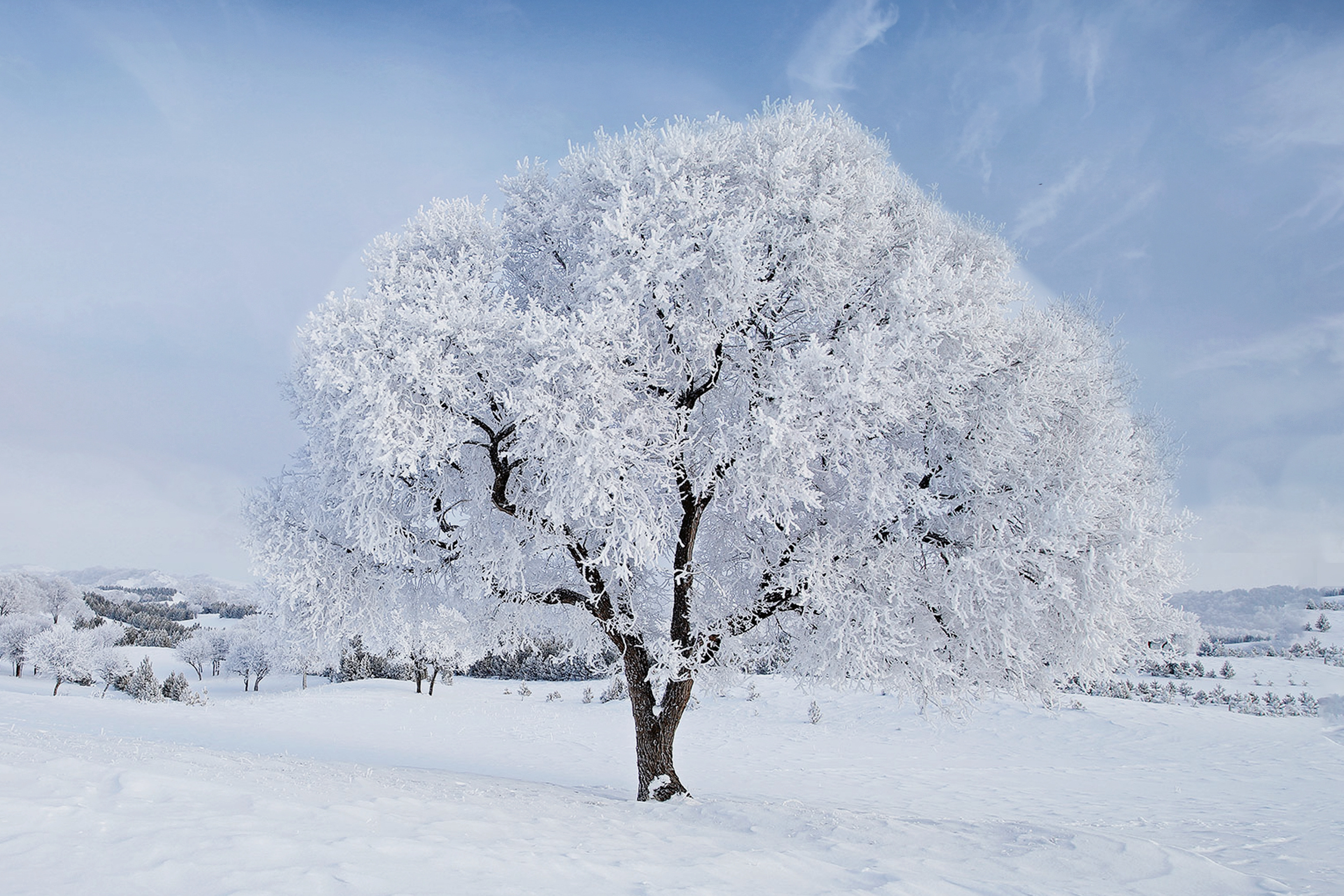 吉林的冬天真的太美了，就像童话世界清晨的雾凇岛，滑雪场，好玩好拍，随手一拍即是大