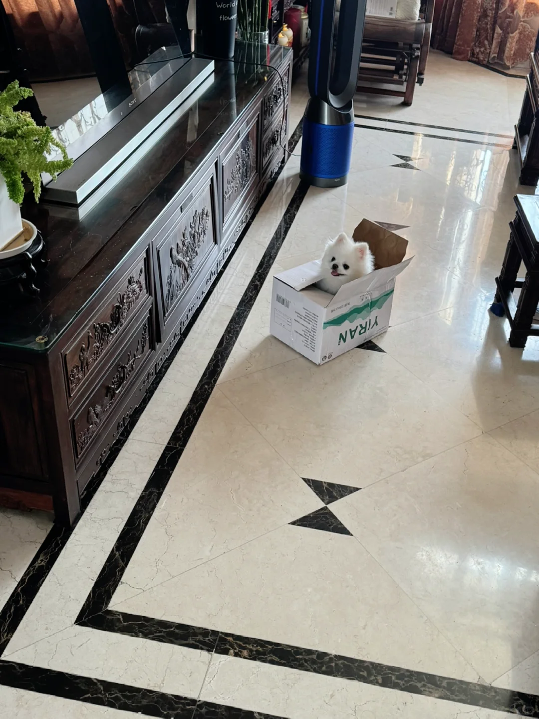 一斤5块 包邮📦