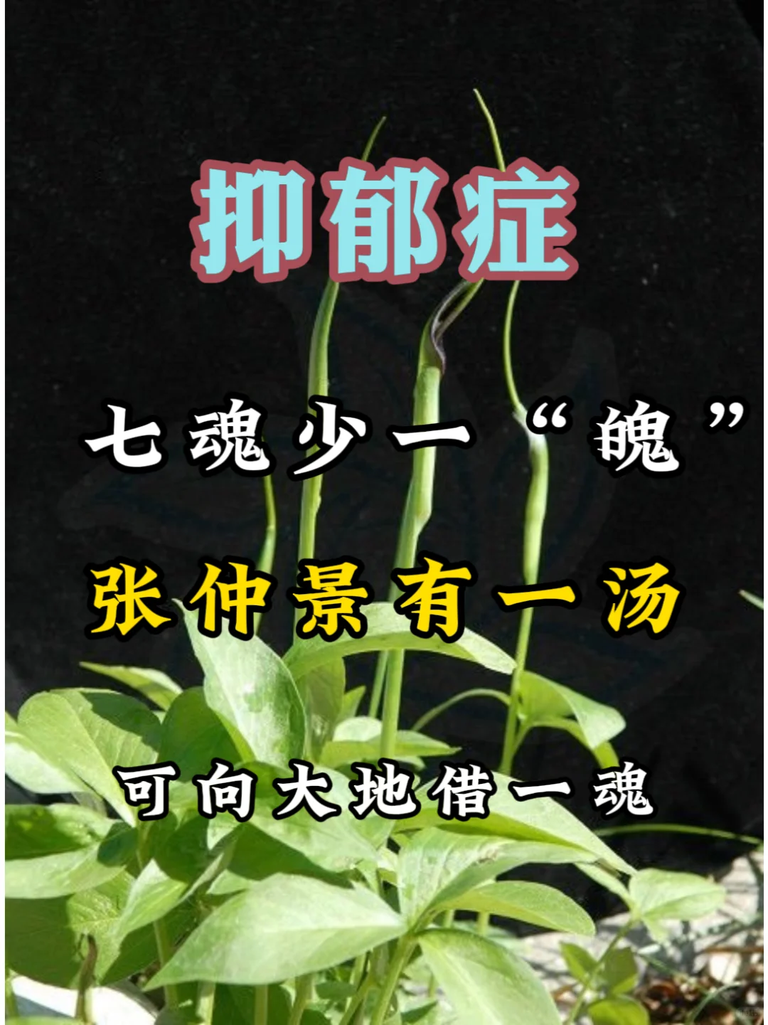 古人认为：人有三魂七魄。 三魂就是精、气、神； 七魄就是喜、怒、哀、乐...