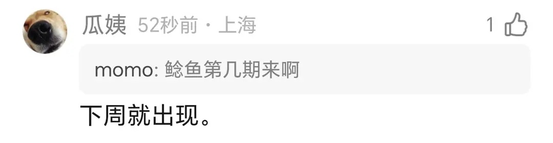 第五季｜瓜姨回复了陈姐线相关内容 半熟恋人