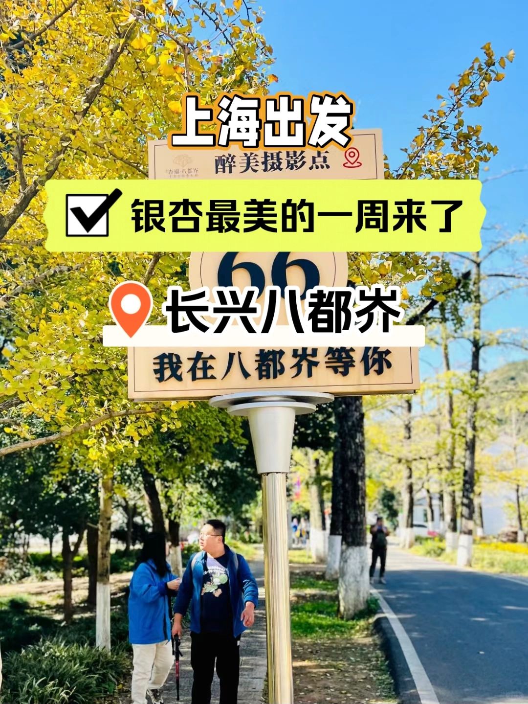银杏最美的一周来了 11.26徒步八都岕