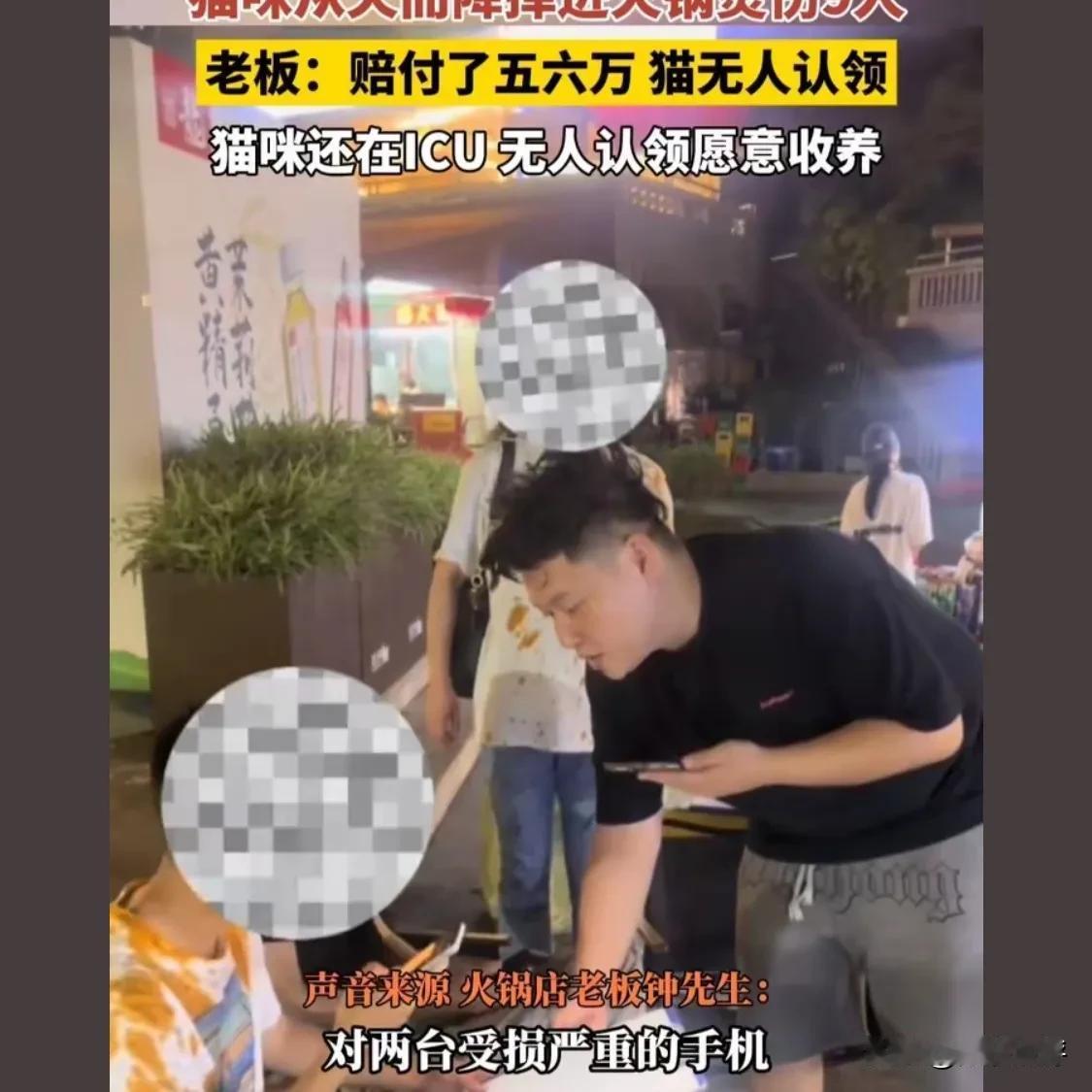 终于知道他为什么能发大财！5月2日，重庆，一猫咪从“楼”而降，砸进热辣滚烫的火锅