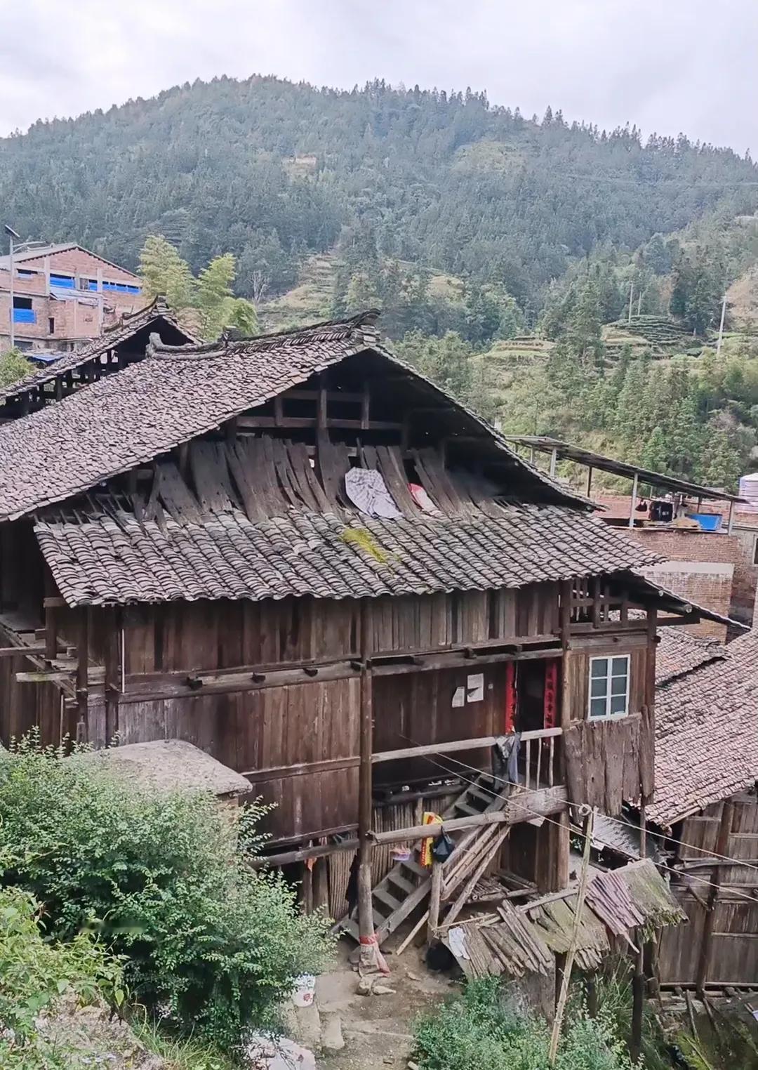 山卡卡的农村生活，纯天然野生山货