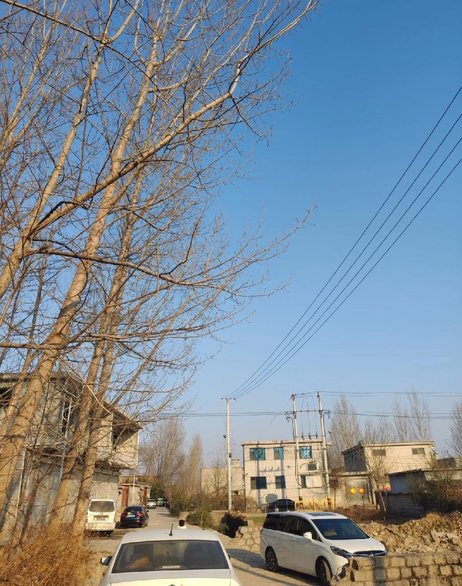 山东临沂的村里，大众车也太多了，走几步就能看到一辆，大众在山东的保有量是真的高。