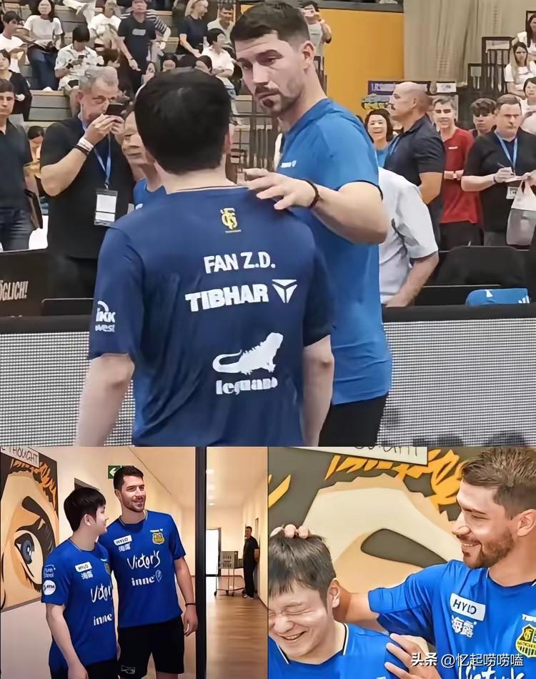 德国名将弗朗西斯卡：别再叫樊振东天才了。他队友说，樊振东刚来德甲俱乐部时，大伙儿