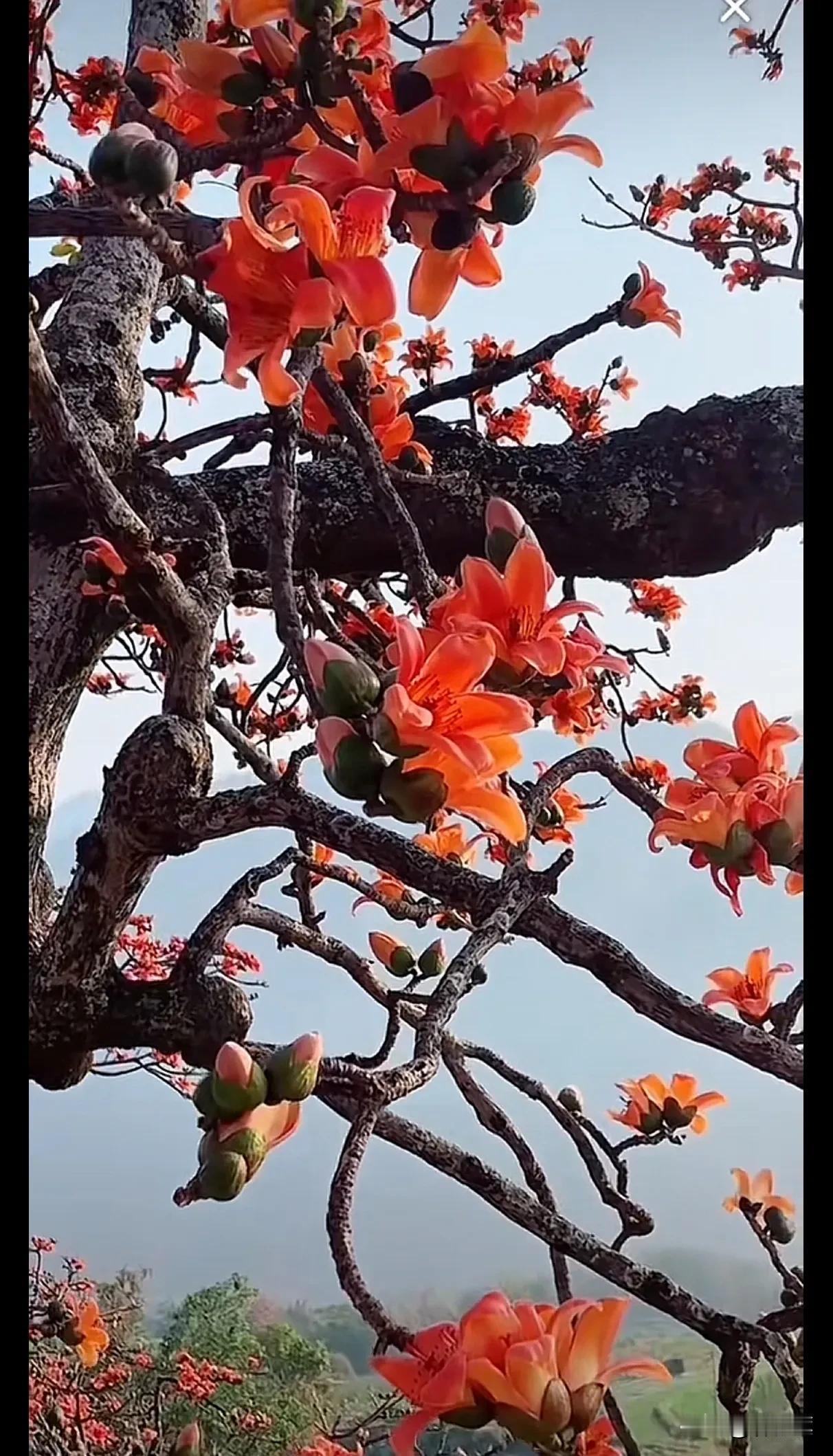 你莫弄错了，太湖和洞庭湖中都有洞庭山！《柳毅传书》中的洞庭山是指苏州太湖的洞庭东