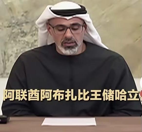 美伊谈判破裂后，阿联酋做出了选择！
4月12日，美伊在伊斯兰堡面对面谈了21个小