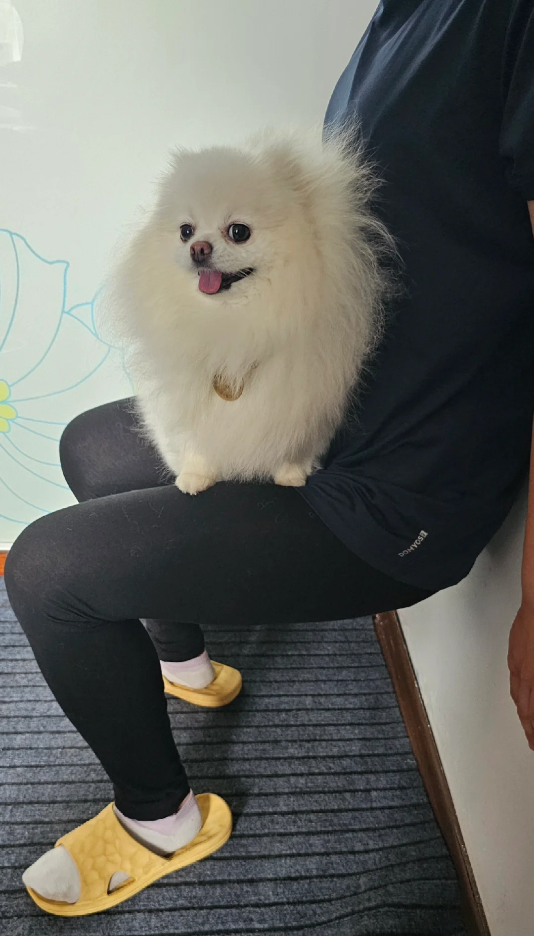 练腿日之 wall sit with extra weight