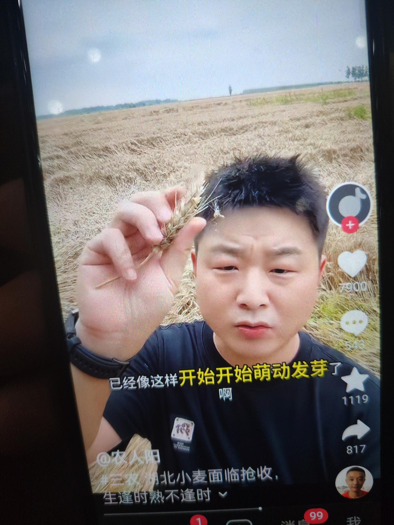 连日阴雨淹了麦田！豫鄂麦农欲哭无泪，大半年辛苦一夜归零
 
近日连阴下雨，造成河