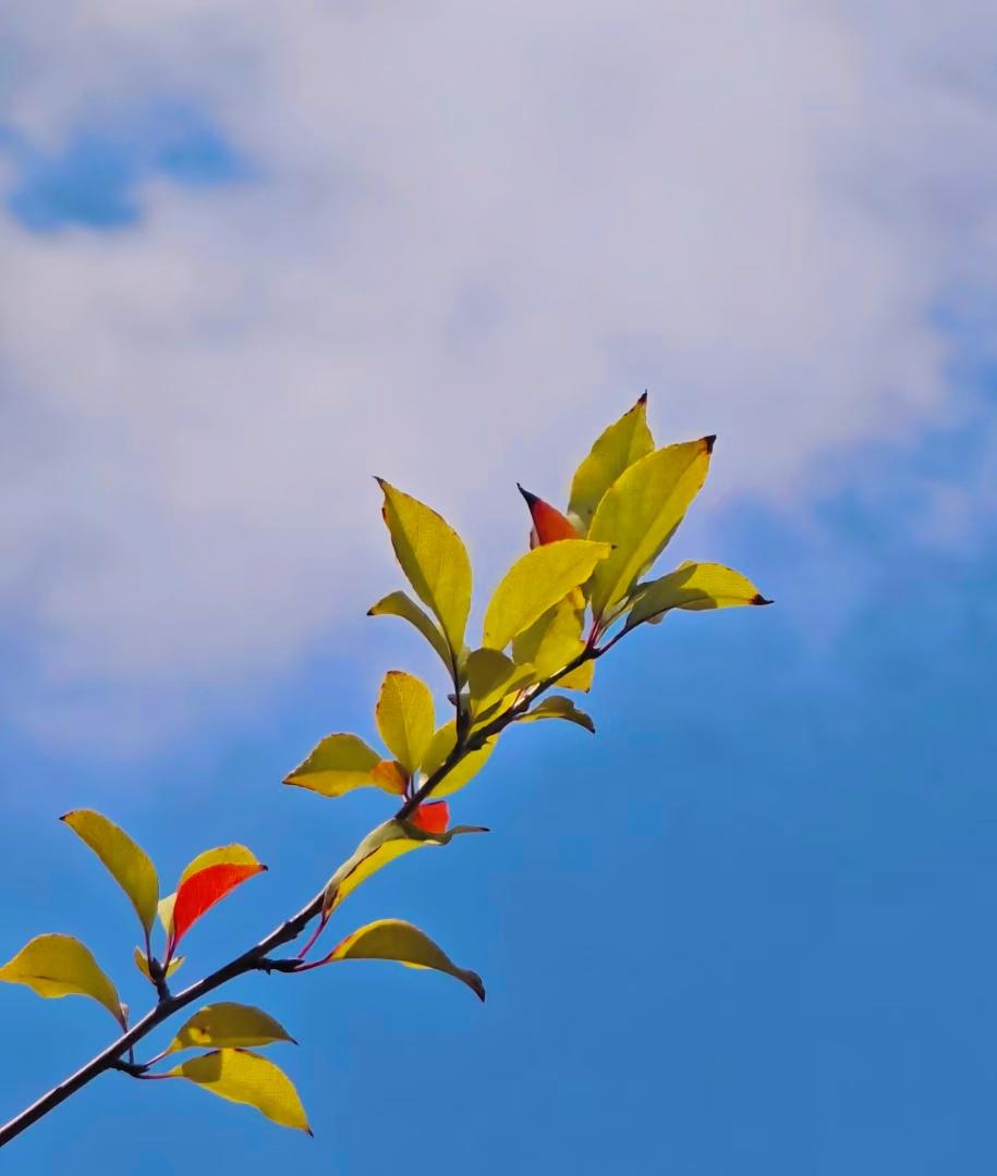 别惦记你哪破工作
失不失业又能咋的
人是环境产物
职场就像公厕，完事就得走
没有