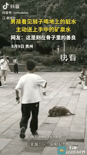 “上新华社了!”贵州景区里，一名小男孩见小猴子喝地上的脏水，于心不忍，将手上的矿