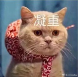 水影坊