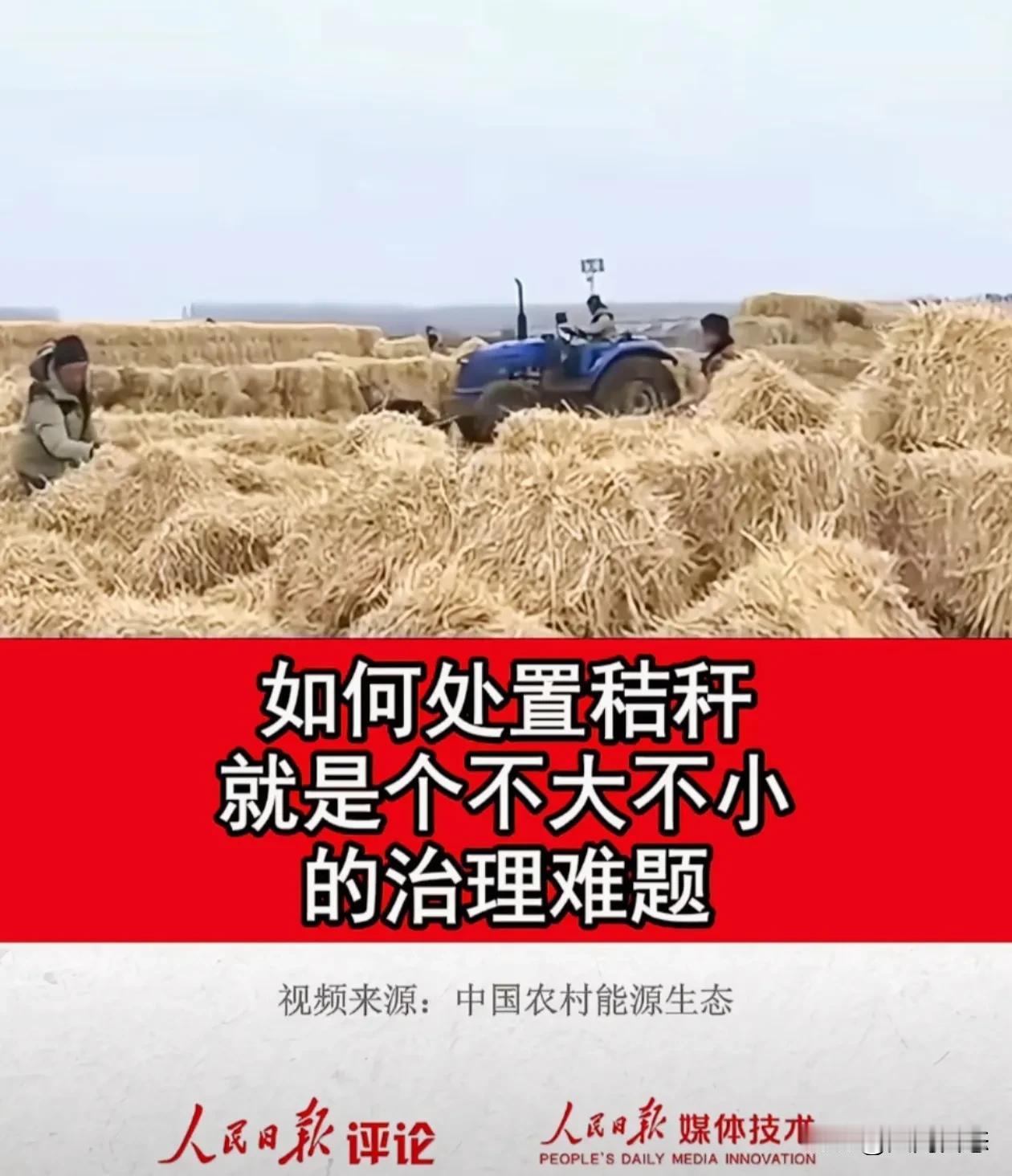 人民日报评说，庄稼丰收以后也有烦恼，如何处置秸秆也是不大不小的问题。就算干部蹲点