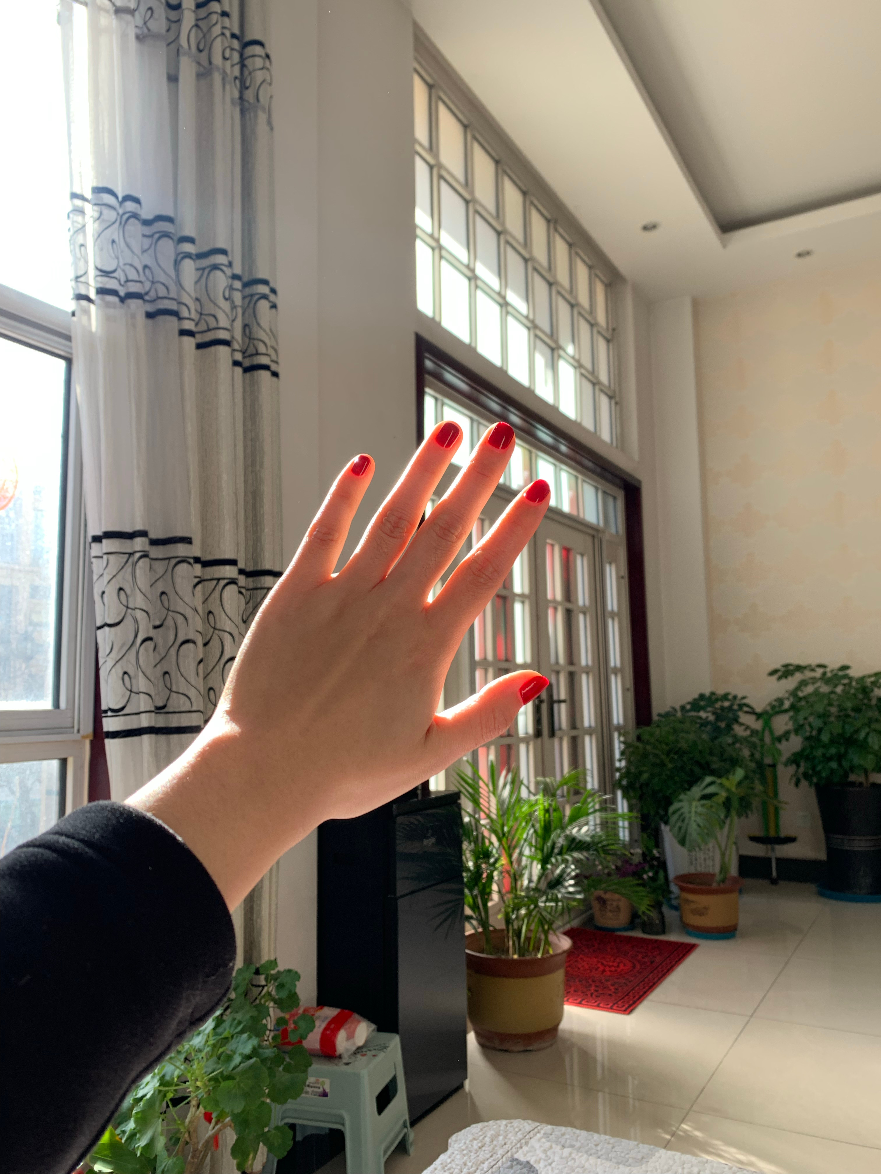 本命年就得红色 