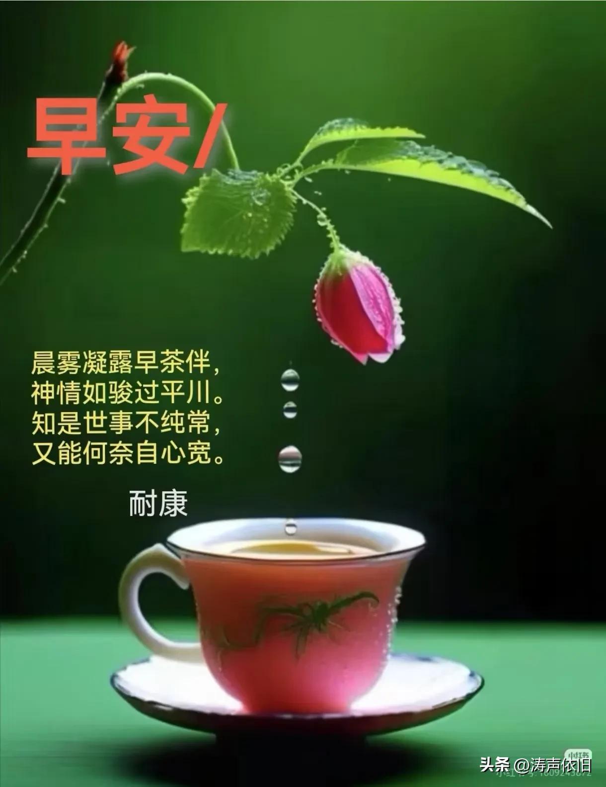 《鹧鸪天·人生三好》

健体良方三妙昭，
行吟饮水乐眉梢。
释怀三窍尘烦远，
度