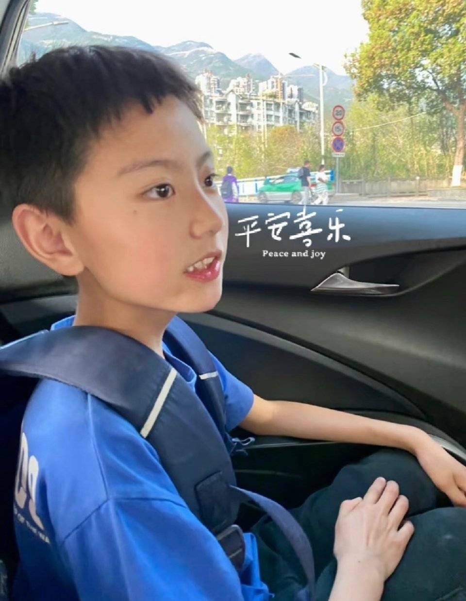 正面看呆侧面看萌 