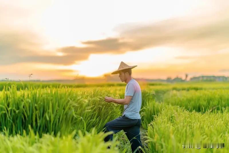 农民太辛苦了，这事儿城里人真难感同身受。在不少城里人眼里，农村是世外桃源，能自给