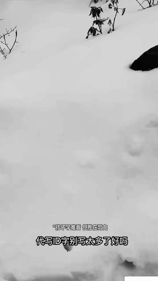 海拔四千多米的高原风雪里，姚琛把自己裹成严严实实的小粽子，顶着寒风准时开播，没有