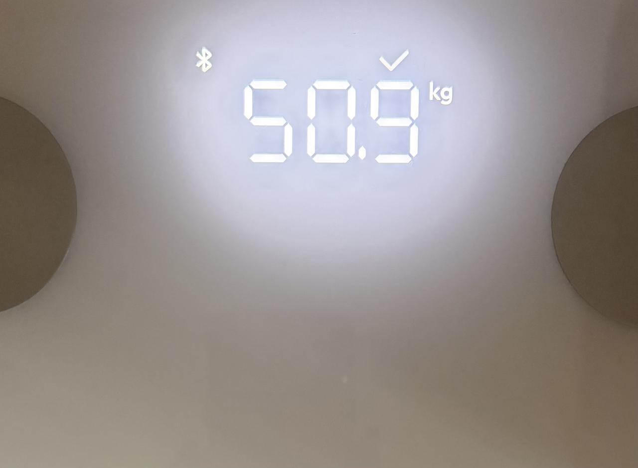 上秤，51公斤，12天涨了6斤，倒也不算过分，尚在可控范围之内。要赶紧行动减重吗