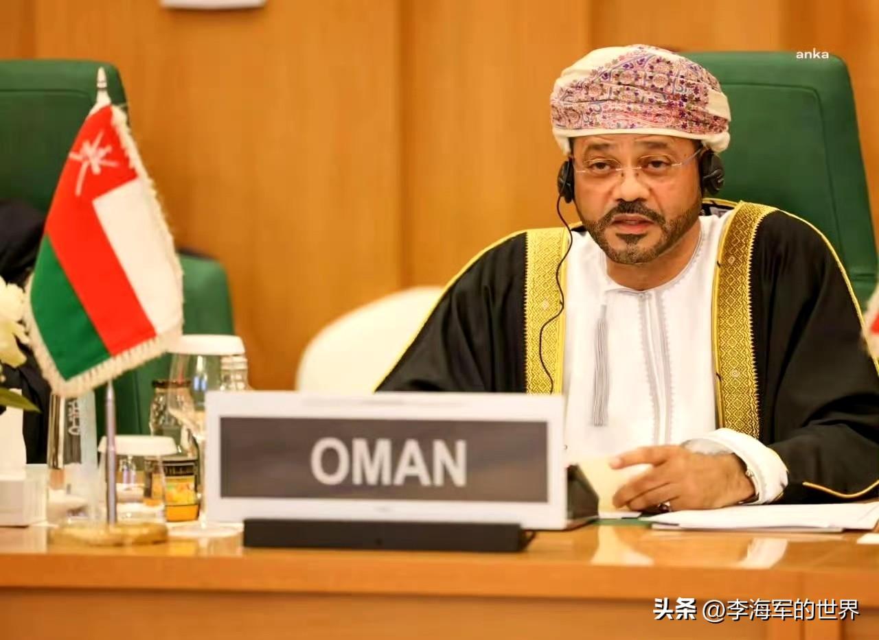 阿曼外交部长巴德尔·布赛迪：无论你对伊朗持何种看法，这场战争都不是伊朗挑起的 ​