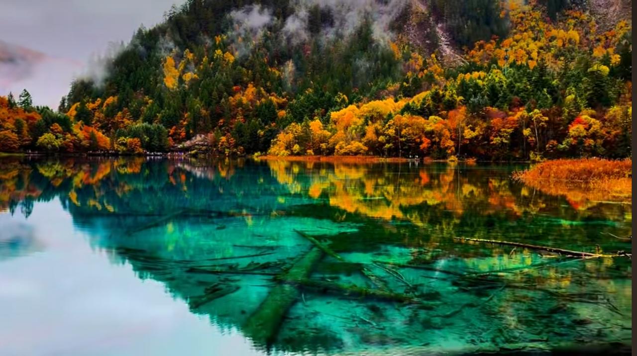 一张图证明你去过九寨沟美得不像话的天然油画---九寨沟