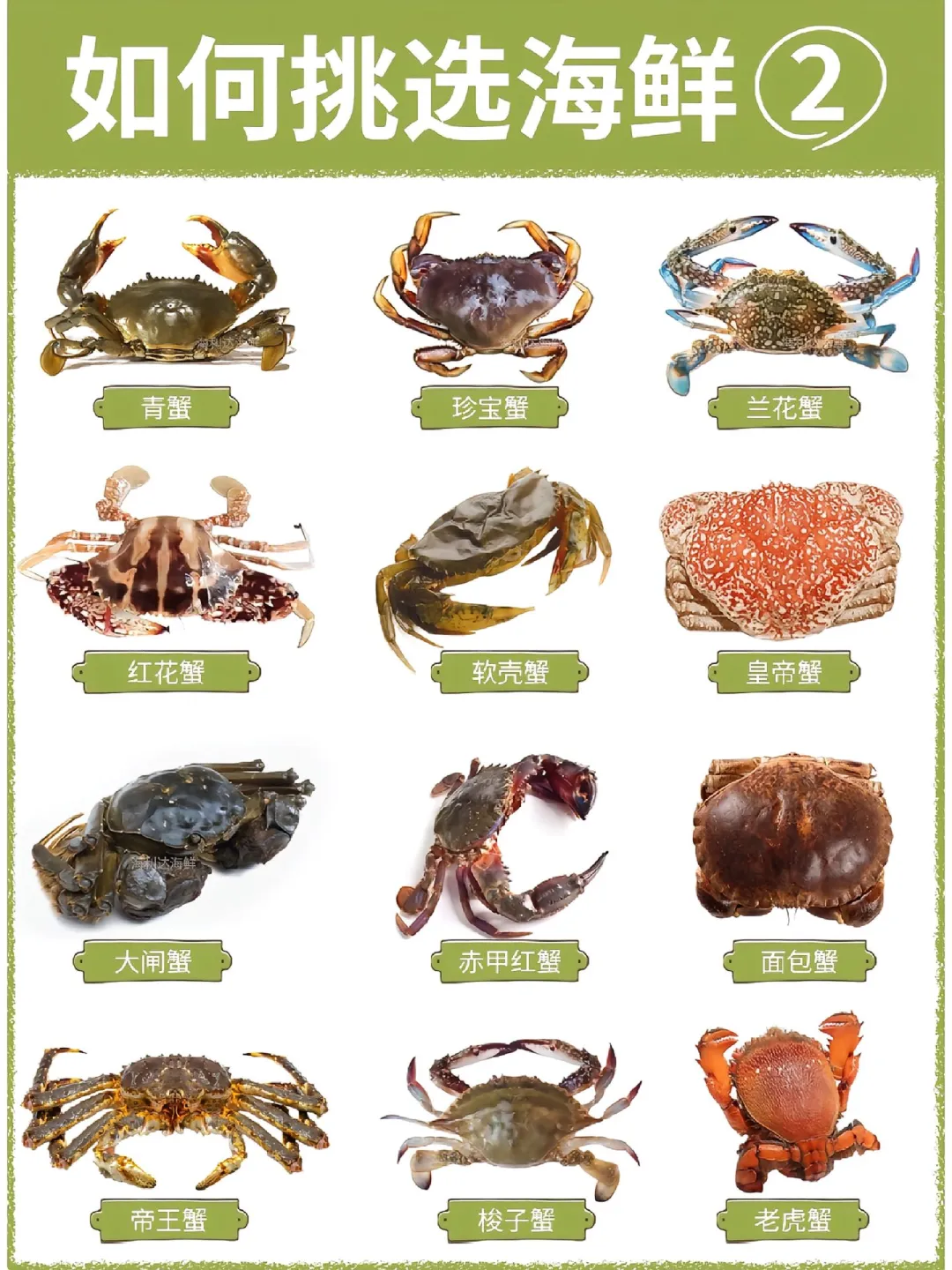 🦀选蟹秘籍 | 海鲜挑选攻略大公开