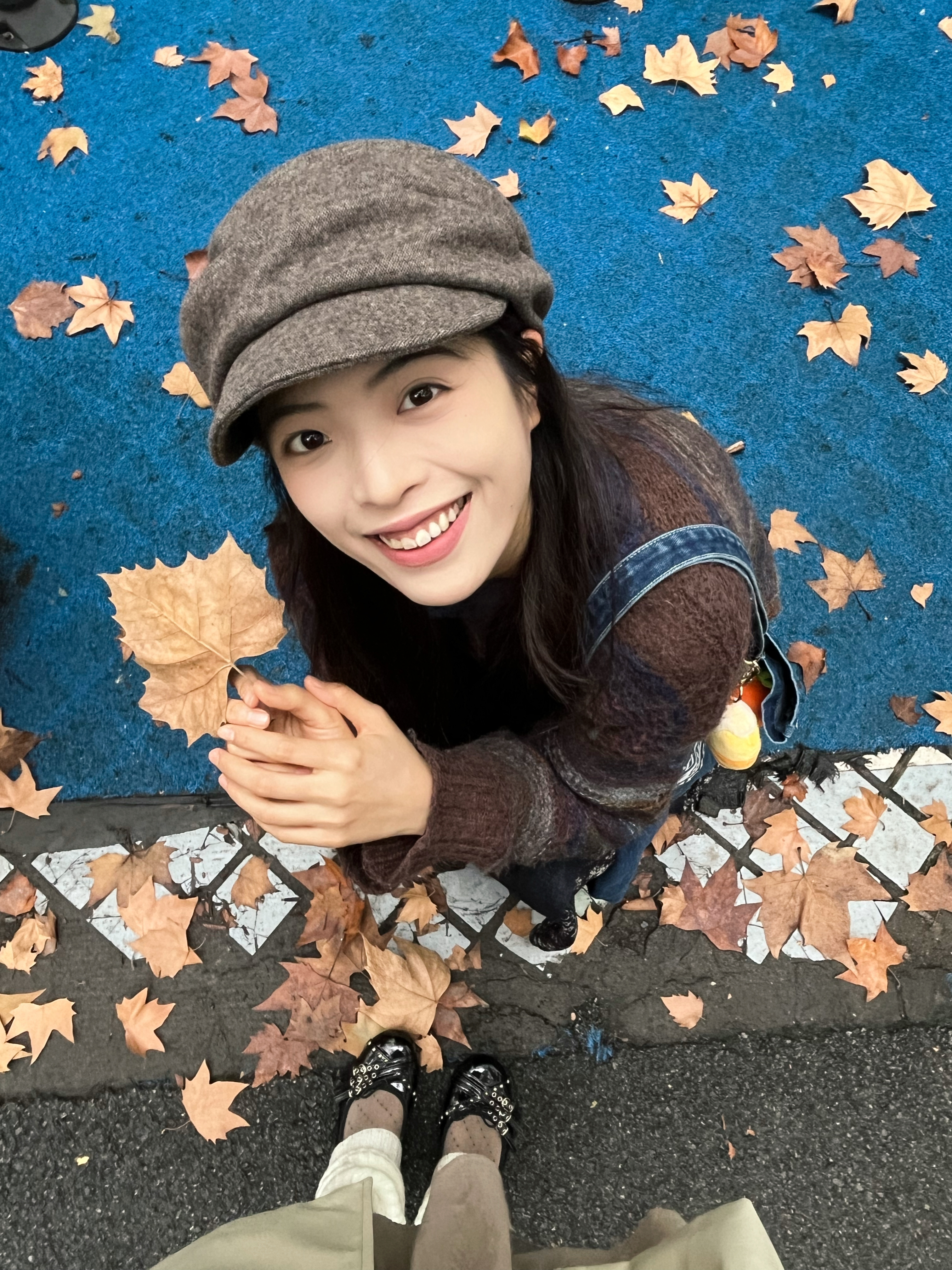 好大的🍁！！今天突然大降温了 bb们注意保暖！ 