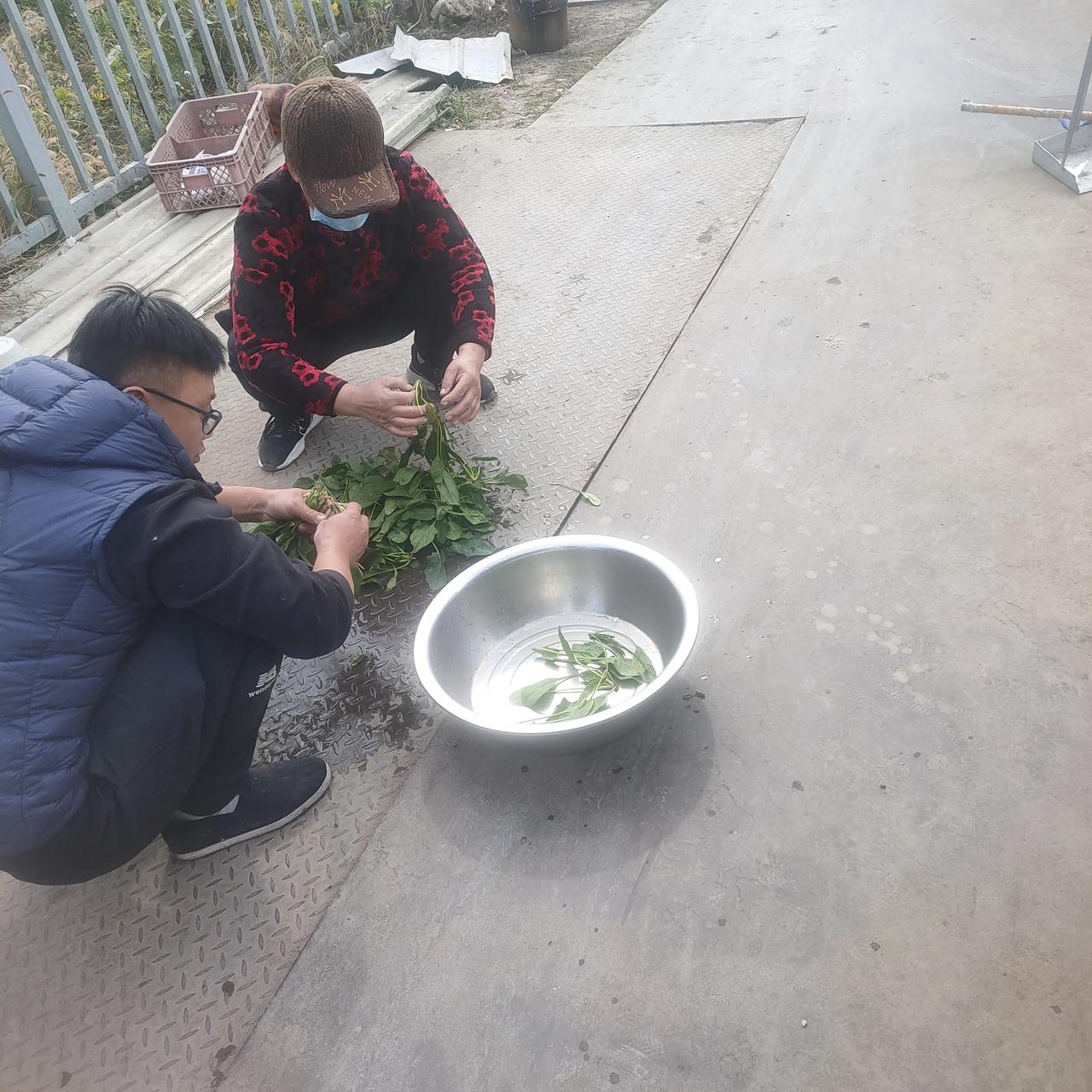 弟弟毕业5年了，一直没成家，一个人在大上海工作，工资每月能领1.7万左右，在这种