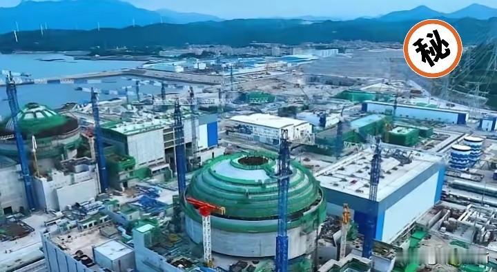 越南正在自食其果，从越南方面传出惊人消息，日本已经退出了越南的宁顺2号重大核电站