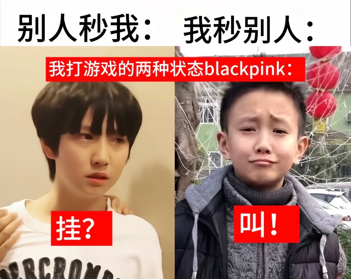 我打第五人格： 