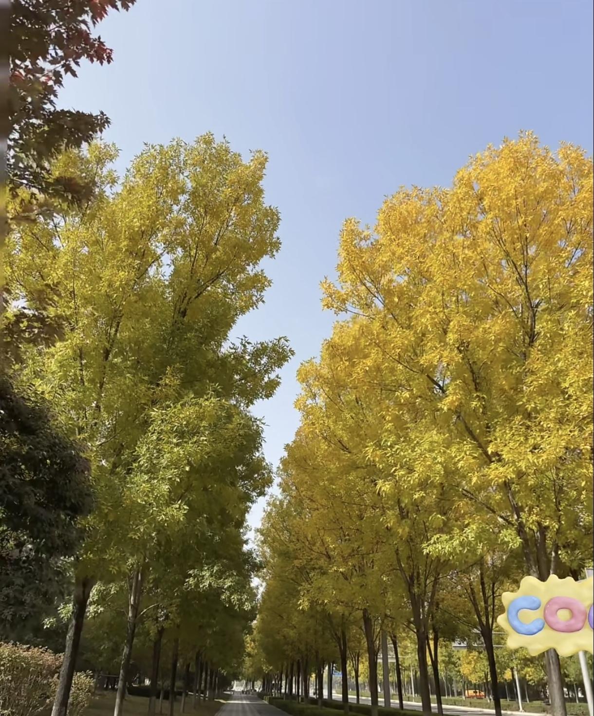 一个家庭能给孩子的最硬的底牌，说白了，就是别让孩子孤军奋战。
很多人一提为孩子铺