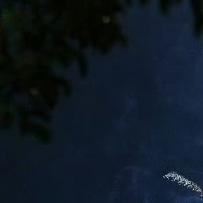 阳光信用 🌿阳光信用🌿 每日一善 生活不可能像你想象得那么好，但也不会像你想