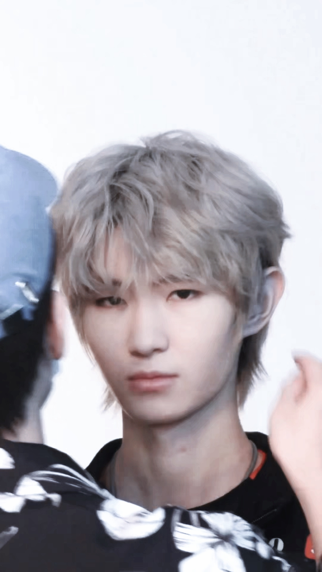小狼小狼xbc的微诺格