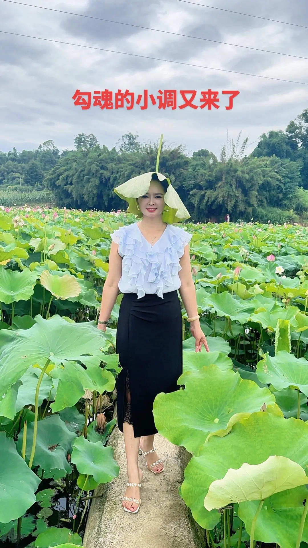 闲听清歌漫谷声，远离喧嚣寻一份内心安然， 这调调好听的挺停不下来……