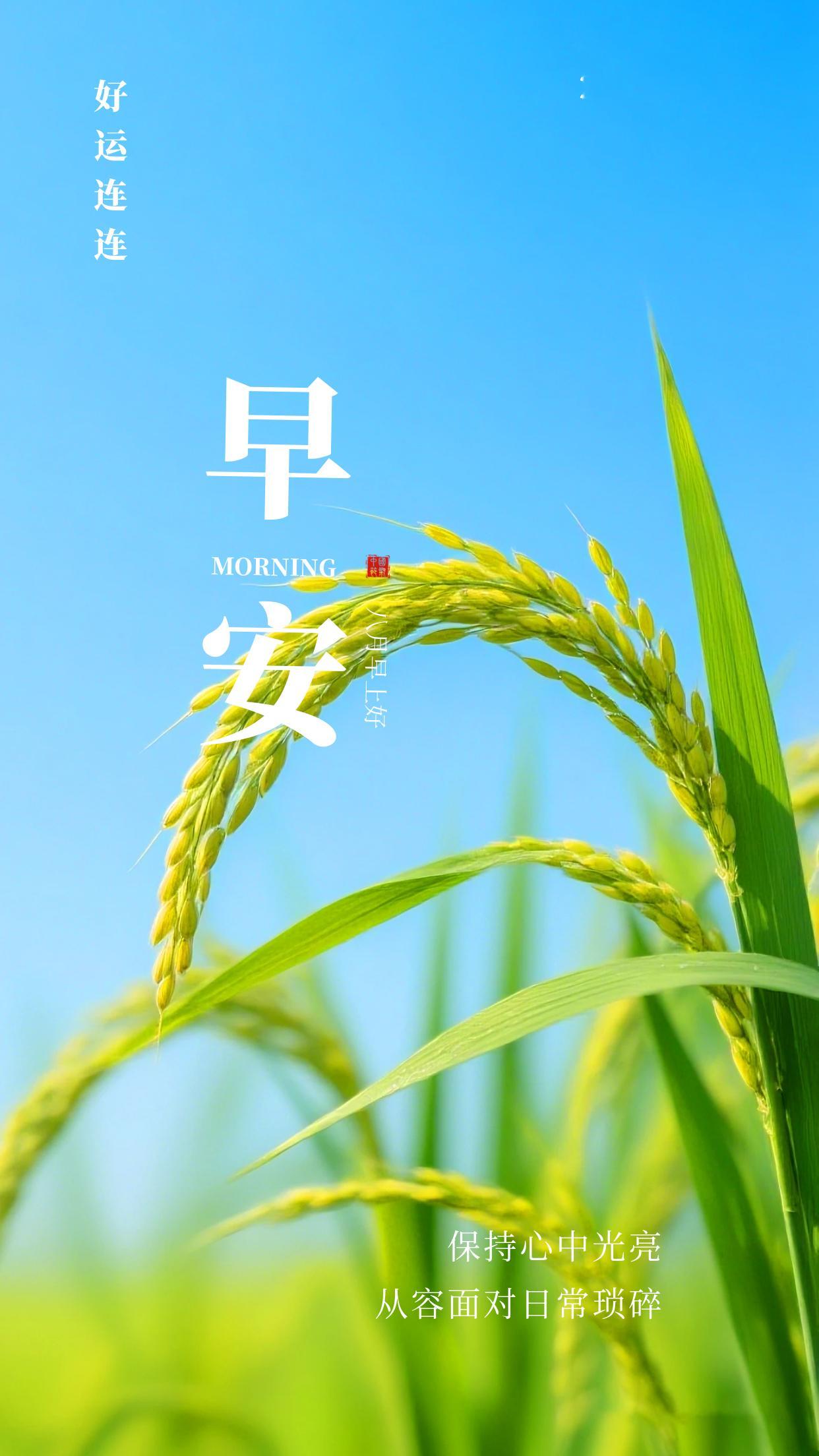 2026.8.16周日早安祝福海报壁纸拿图吱一声噢～ 