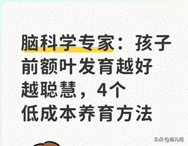 脑科学专家：孩子前额叶发育越好越聪慧，4个低成本养育方法