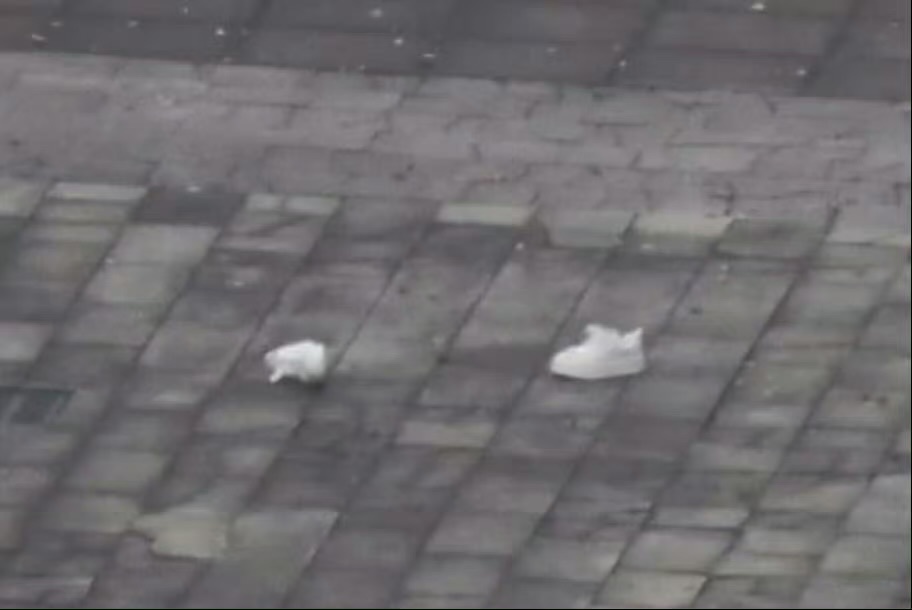 娱乐贺峻霖鞋又跑掉了贺峻霖鞋又掉了 鞋跑掉了n.0 