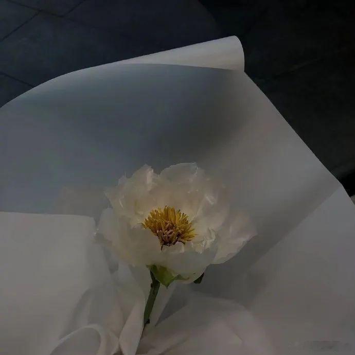 没有你所谓的“岁月静好”，生活从来都不容易，当你觉得挺容易的时候，一定是有人在替