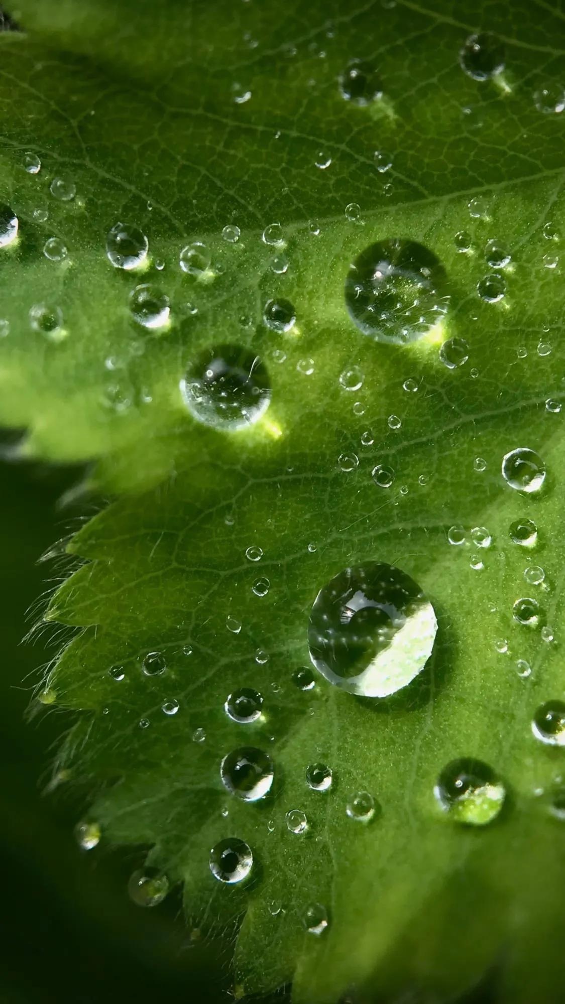 两个人相爱，想结婚，没房没车怎么办？其实财富物质都是人创造出来的，世间本身没有财