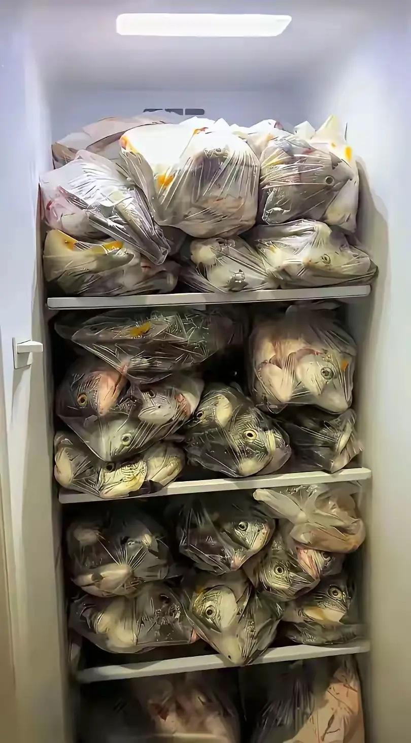 网友:  嫁钓鱼佬的烦恼！刚扔了没几天又满了！ 