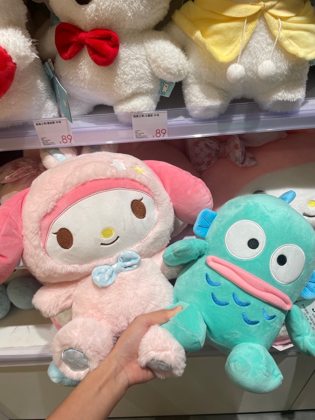 还在纠结要哪个 小丑鱼已到家[哈哈]  ​​​